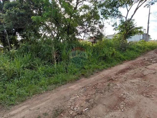 Terreno / Lote para Venda em Armação dos Búzios/RJ Vila Verde