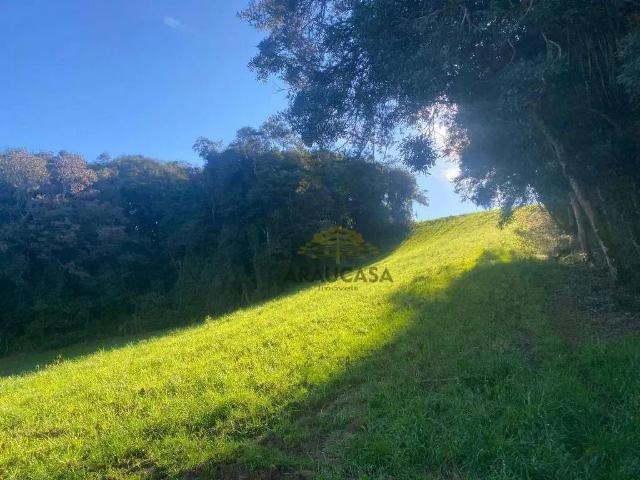 Terreno / Lote para Venda em Araucária/PR Zona Rural