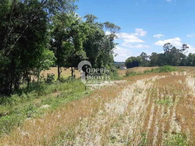 Terreno / Lote para Venda em Araucária/PR Área Rural de Araucária