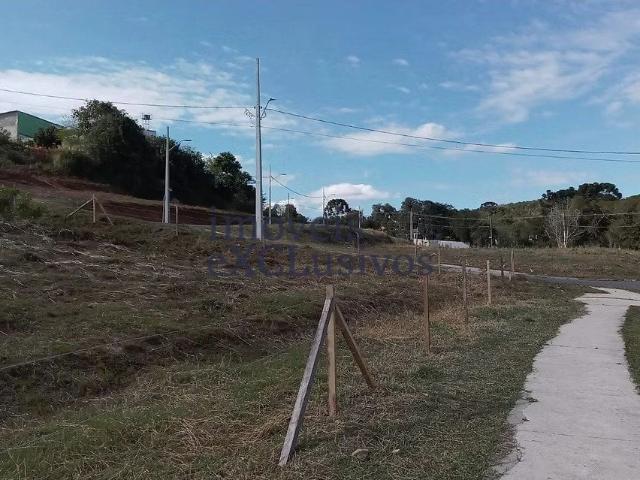 Terreno / Lote para Venda em Araucária/PR Campina da Barra