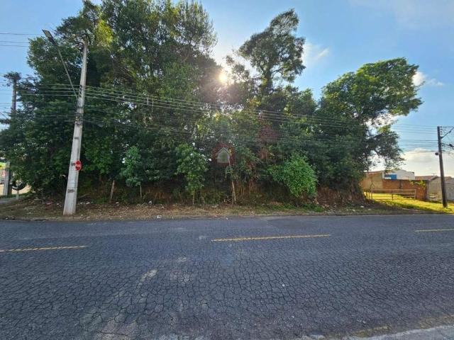 Terreno / Lote para Venda em Araucária/PR Campina da Barra