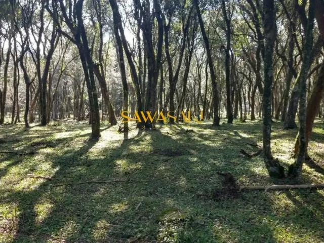 Terreno / Lote para Venda em Araucária/PR Campina da Barra
