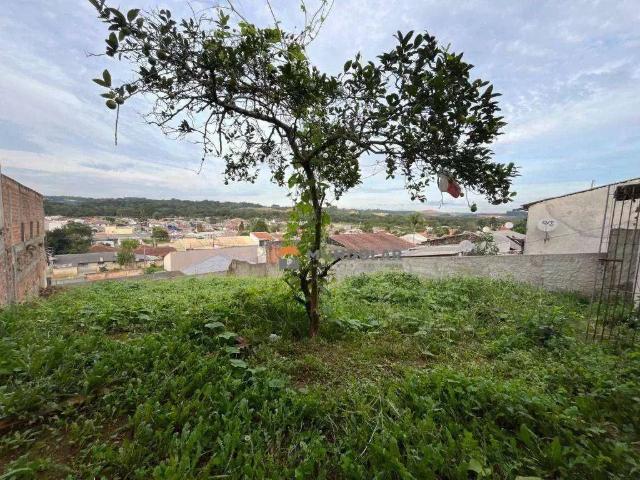 Terreno / Lote para Venda em Araucária/PR Campina da Barra