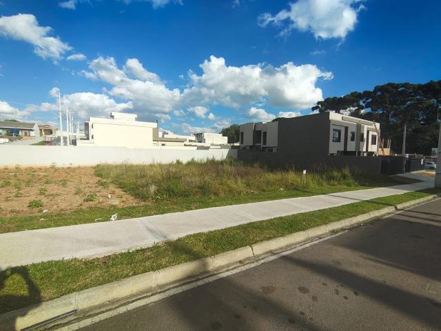Terreno / Lote para Venda em Araucária/PR Capela Velha