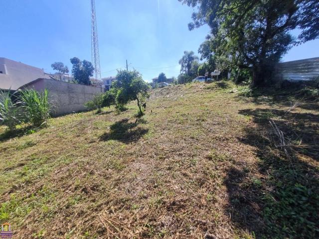 Terreno / Lote para Venda em Araucária/PR Centro