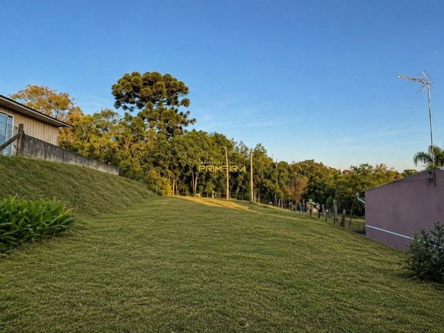 Terreno / Lote para Venda em Araucária/PR Centro