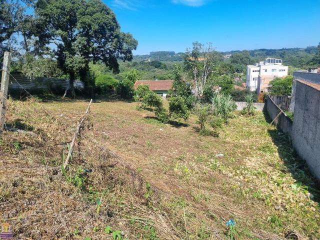 Terreno / Lote para Venda em Araucária/PR Centro