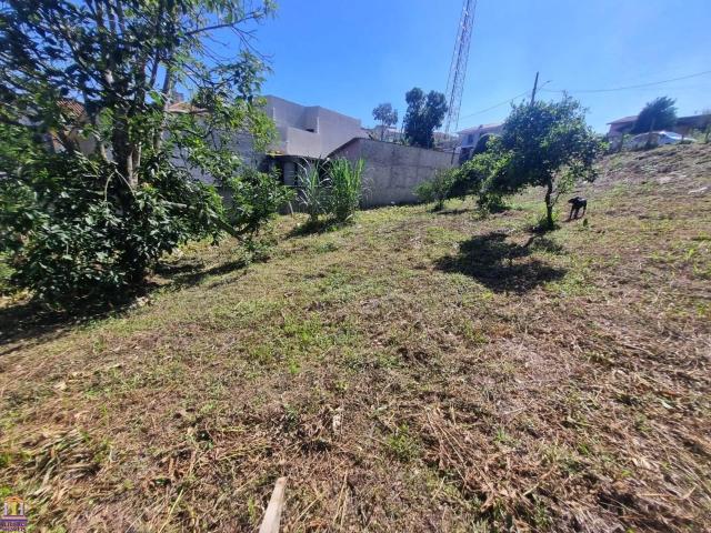 Terreno / Lote para Venda em Araucária/PR Centro