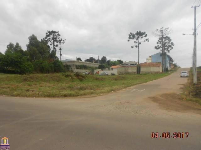 Terreno / Lote para Venda em Araucária/PR Costeira