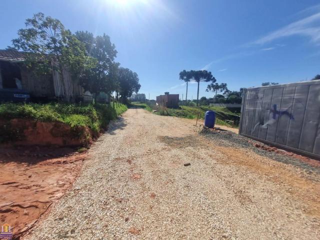 Terreno / Lote para Venda em Araucária/PR Estação