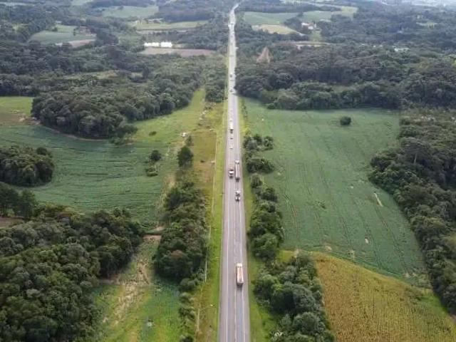 Terreno / Lote para Venda em Araucária/PR Lagoa Suja