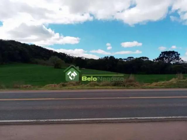 Terreno / Lote para Venda em Araucária/PR Lagoa Suja
