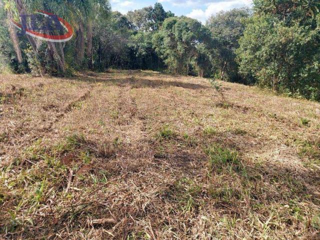 Terreno / Lote para Venda em Araucária/PR Porto das Laranjeiras
