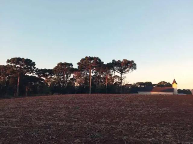 Terreno / Lote para Venda em Araucária/PR Rio Abaixinho