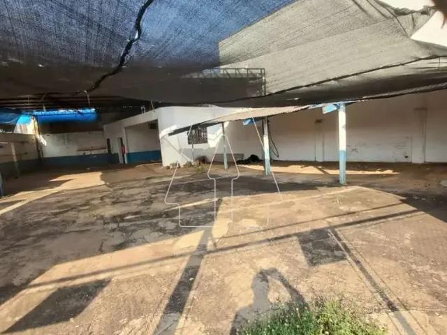 Terreno / Lote para Venda em Araçatuba/SP Centro