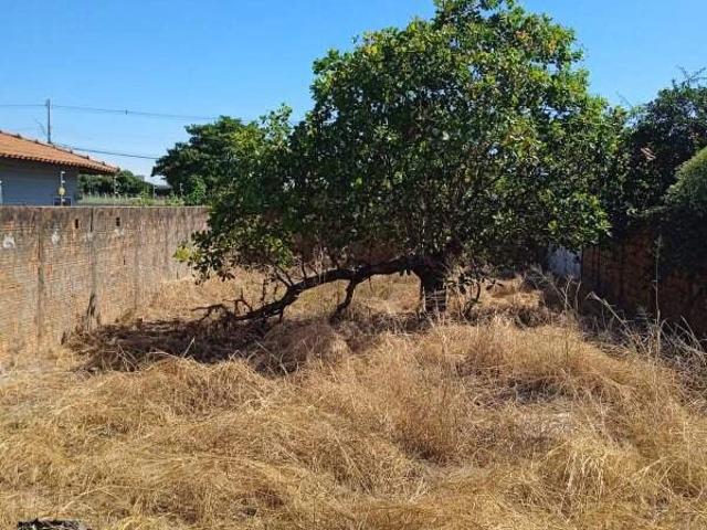 Terreno / Lote para Venda em Araçatuba/SP Concórdia I