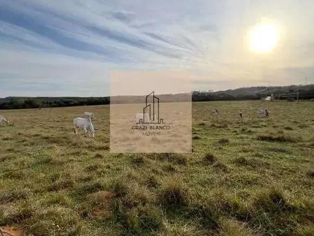 Terreno / Lote para Venda em Araçoiaba da Serra/SP Jardim Nossa Senhora Salete