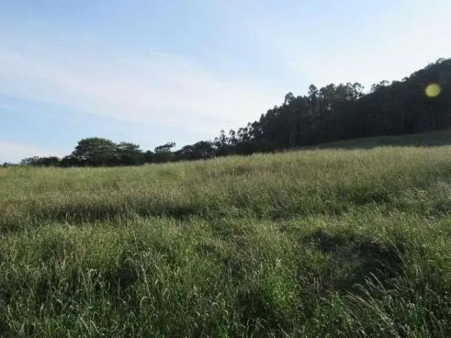 Terreno / Lote para Venda em Arabutã/SC Centro