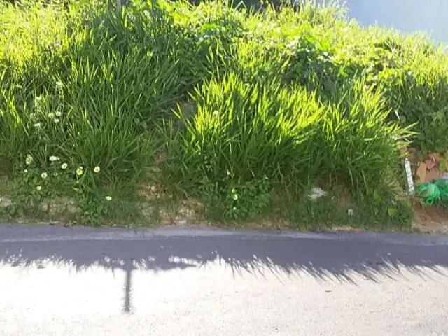 Terreno / Lote para Venda em Aracaju/SE Cidade Nova