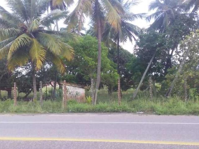 Terreno / Lote para Venda em Aracaju/SE Areia Branca