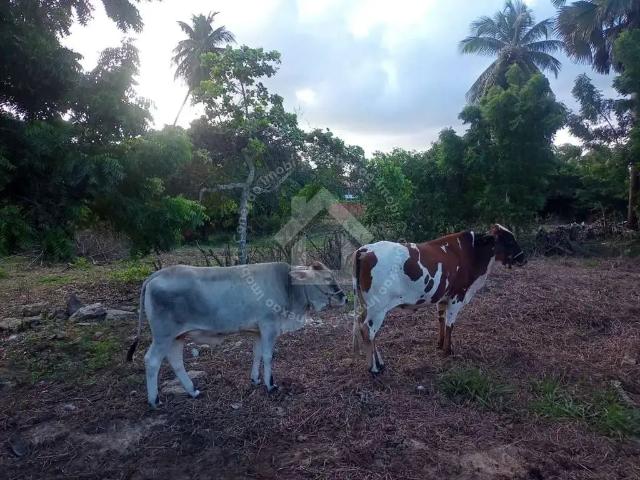 Terreno / Lote para Venda em Aracaju/SE Mosqueiro