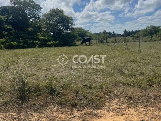 Terreno / Lote para Venda em Aracaju/SE Matapoã