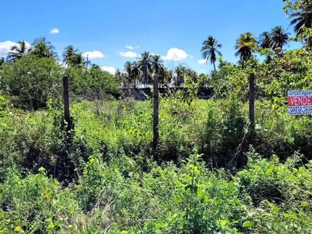 Terreno / Lote para Venda em Aracaju/SE Robalo