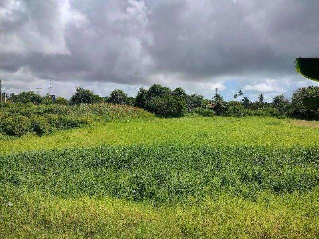 Terreno / Lote para Venda em Aracaju/SE Robalo
