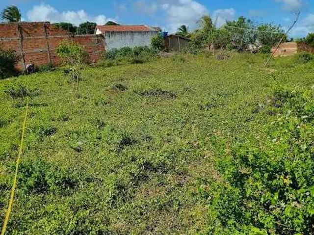Terreno / Lote para Venda em Aracaju/SE Robalo