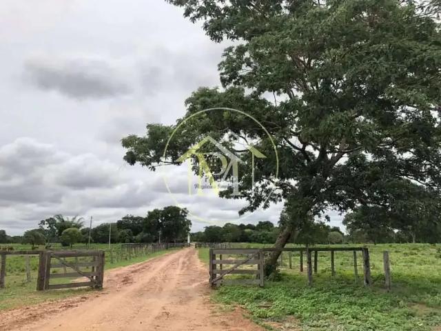 Terreno / Lote para Venda em Araguaiana/MT Centro