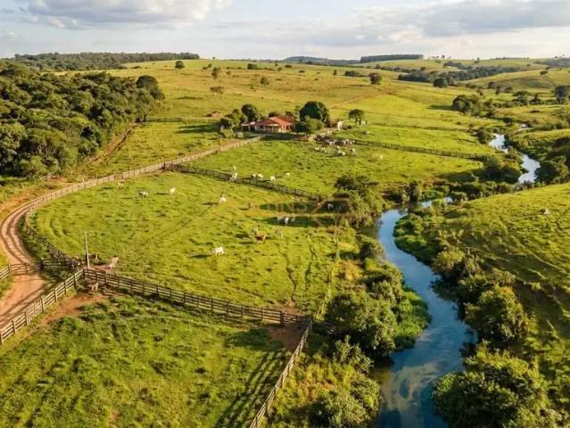 Terreno / Lote para Venda em Araguari/MG Área Rural de Araguari