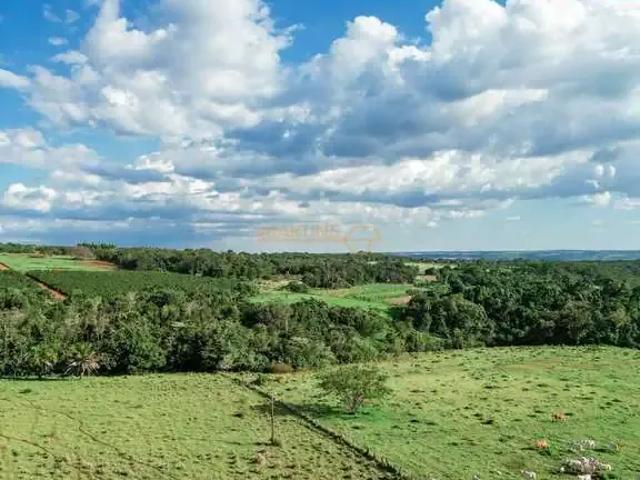 Terreno / Lote para Venda em Araguari/MG Área Rural de Araguari