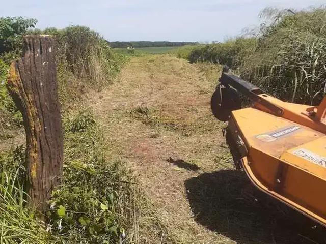 Terreno / Lote para Venda em Araguari/MG Área Rural de Araguari