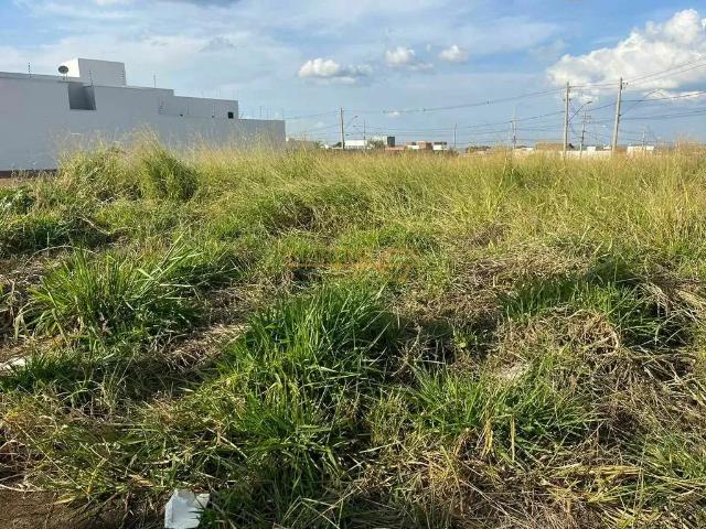 Terreno / Lote para Venda em Araguari/MG Conjunto Ouro Verde