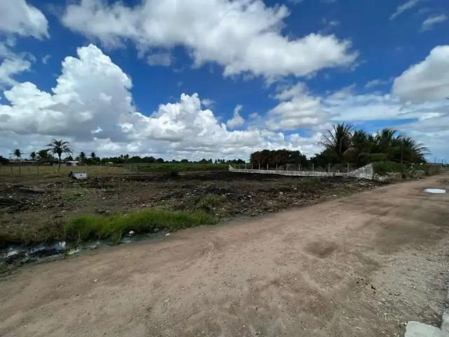 Terreno / Lote para Venda em Arapiraca/AL Bom Sucesso