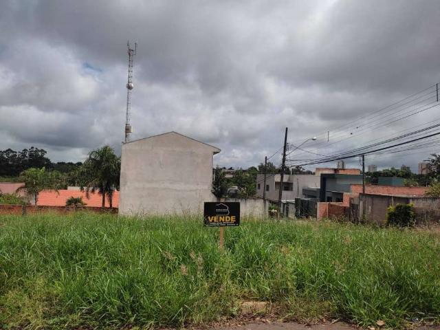 Terreno / Lote para Venda em Arapongas/PR Vila Nova