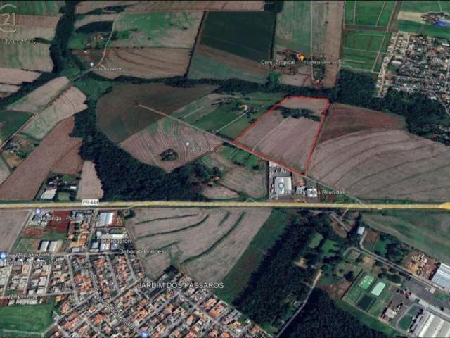 Terreno / Lote para Venda em Arapongas/PR Gleba Arapongas