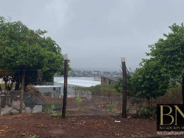 Terreno / Lote para Venda em Arapongas/PR Jardim Campestre
