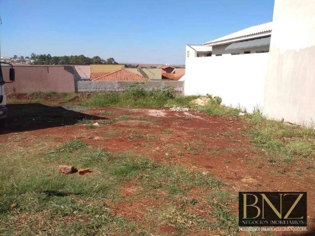 Terreno / Lote para Venda em Arapongas/PR Jardim Santo Antônio