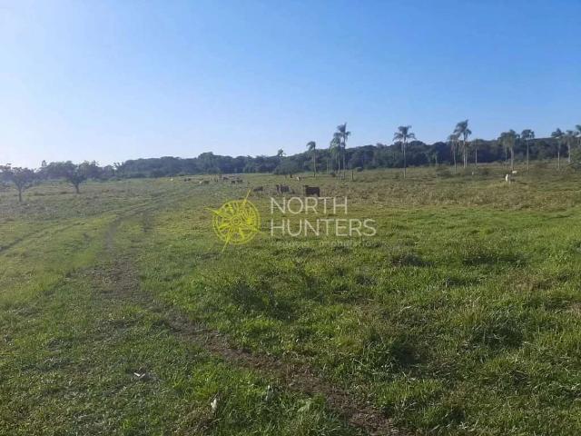 Terreno / Lote para Venda em Araquari/SC Barra do Itapocú