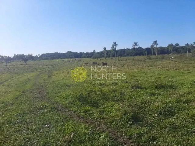 Terreno / Lote para Venda em Araquari/SC Barra do Itapocú