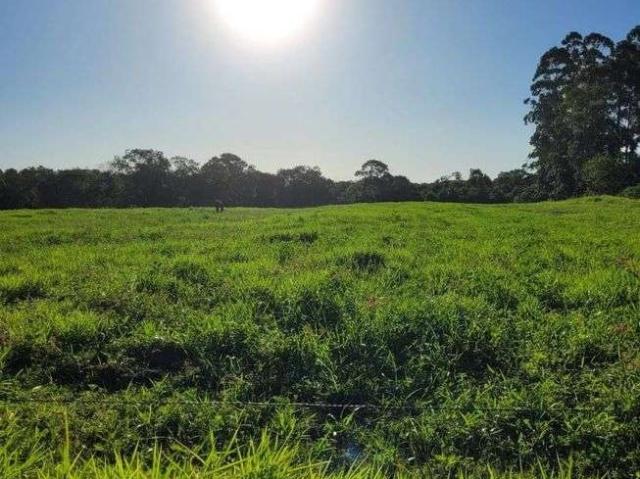Terreno / Lote para Venda em Araquari/SC Volta Redonda