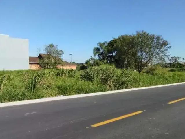 Terreno / Lote para Venda em Araquari/SC Colégio Agrícola