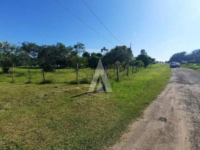 Terreno / Lote para Venda em Araquari/SC Itapocu