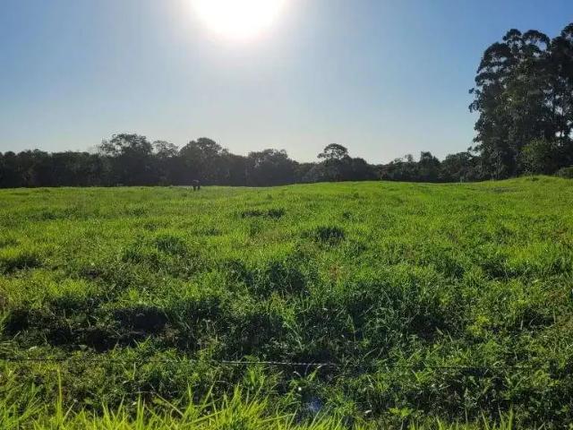 Terreno / Lote para Venda em Araquari/SC Volta Redonda