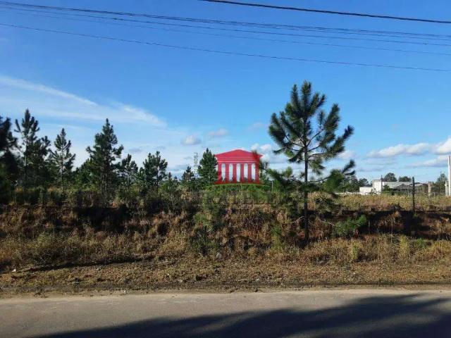 Terreno / Lote para Venda em Araquari/SC Volta Redonda