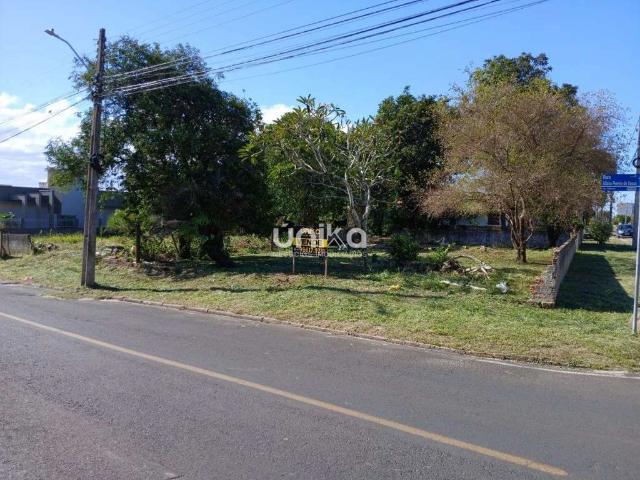 Terreno / Lote para Venda em Araranguá/SC Urussanguinha