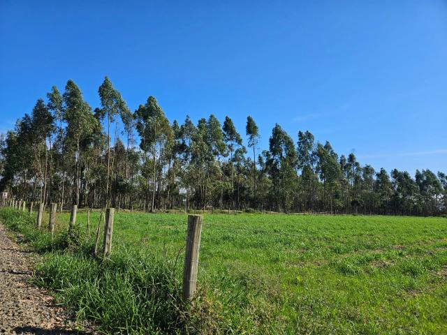 Terreno / Lote para Venda em Araranguá/SC Volta Curta