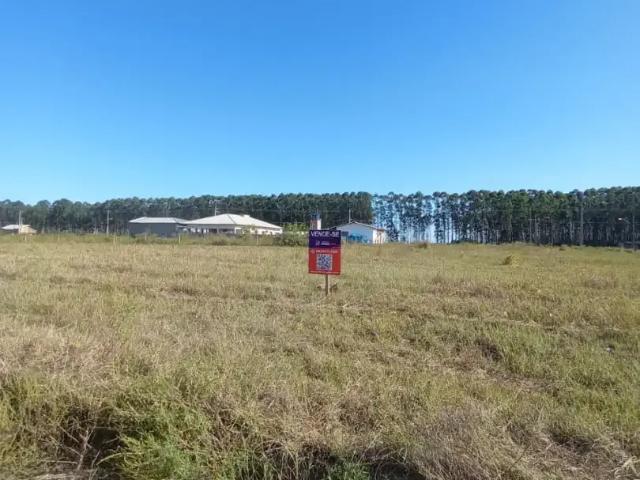 Terreno / Lote para Venda em Araranguá/SC Caverazinho