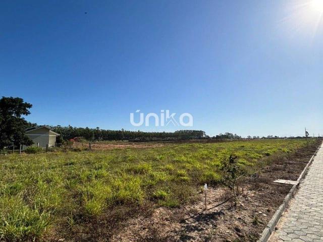 Terreno / Lote para Venda em Araranguá/SC Caverazinho